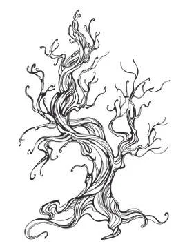 Contour of the old tree Stock Illustration