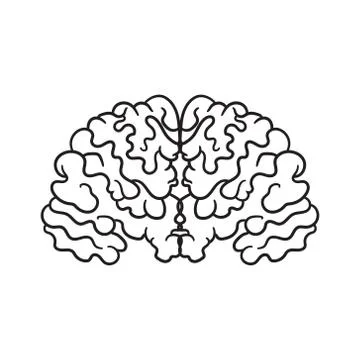 Contour pattern with a picture of the brain. A simple icon without fill. Vector Stock Illustration