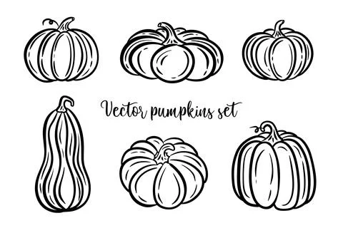 Contour of pumpkins collection, vector set black line illustrations Stock Illustration