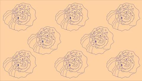 Contour of rapana shells on a beige background Stock Illustration