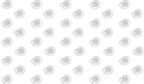 Contour of rapana shells on a white background Illustrazione stock
