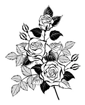 Contour rose branch Stock Illustration