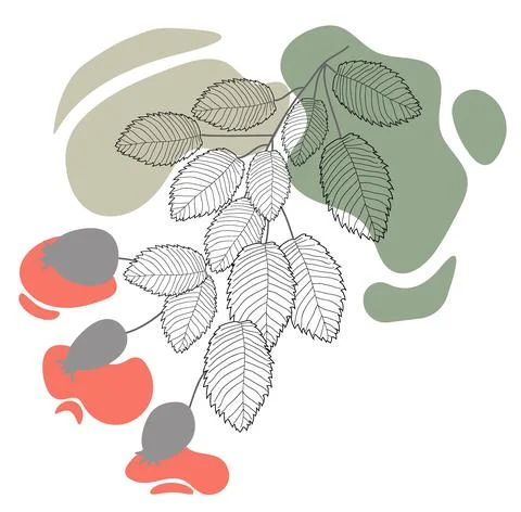 Contour rosehip leaves abstraction Stock Illustration