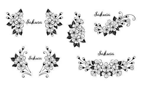 Contour sakura design element Stock Illustration