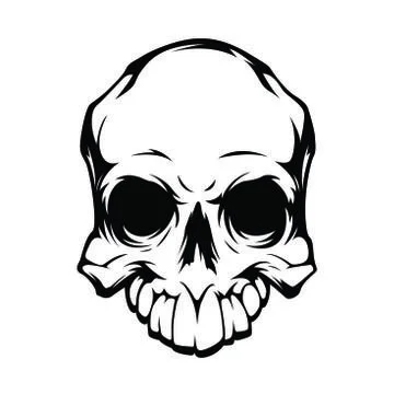 Contour skull pattern on white background 库存插图