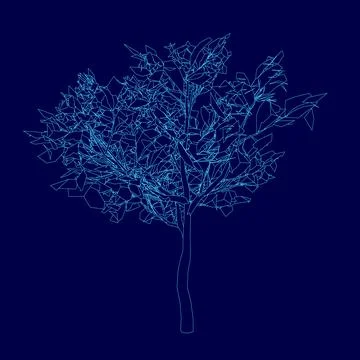 Contour tree on dark blue tech background, triangles style design. Vector Stock Illustration