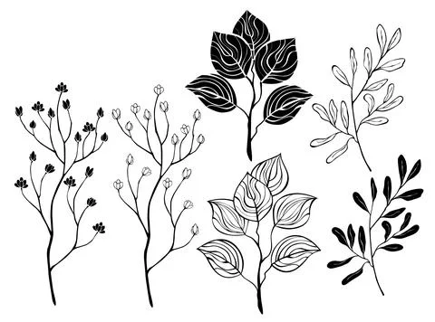 Contour twigs for bouquets Stock Illustration