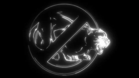 Contour in white line on black background Stock Footage 276272470