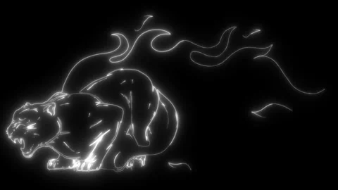 Contour in white line on black background Stock Footage 276274742