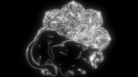 Contour in white line on black background Stock Footage 276317803