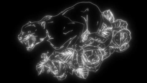 Contour in white line on black background Stock Footage 276359618