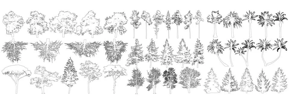 Contours of different trees, big set. Isolated. Vector illustration Stock Illustration