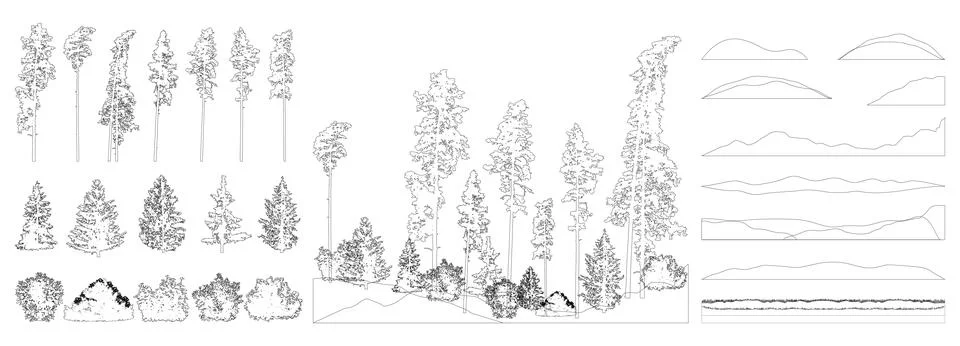 Contours elements of forest trees. Beautiful spruce trees, pine, bush, gras.. Stock Illustration