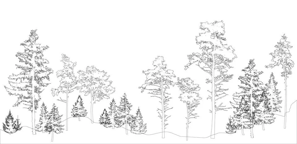 Contours of forest, different trees. Vector illustration Stock Illustration