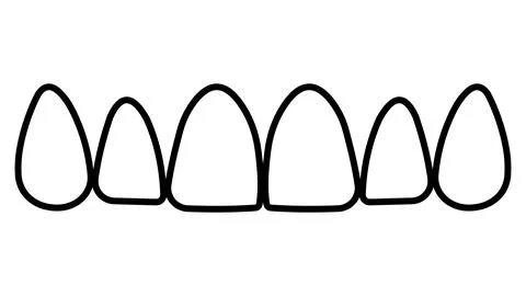Contours tooth upper jaw, frontal teeth incisors and canines Stock Illustration