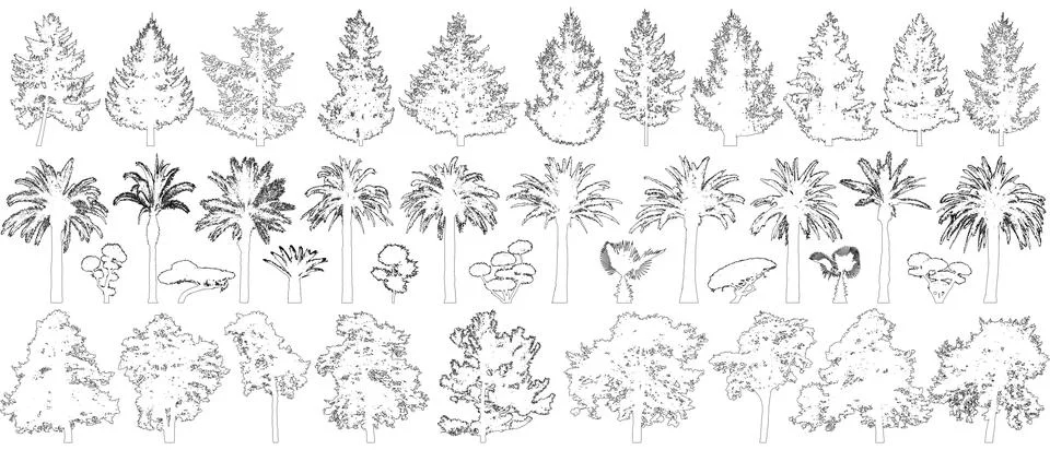 Contours of trees set isolated. Pine, spruce, palm tree, bushes. Vector Stock Illustration