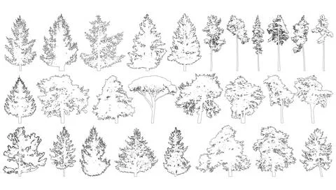 Contours of trees set isolated on white background. Vector illustration Stock Illustration