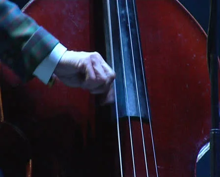 Contrabass Stock Footage 22480899