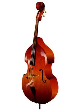Contrabass Stock Illustration