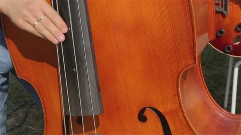 Contrabass jazz player Stock Footage 81471592