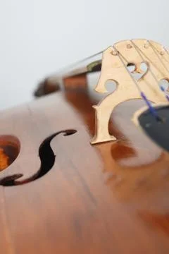 Contrabass Stock Photos