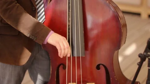 Contrabass player at theatre Stock Footage 50449370