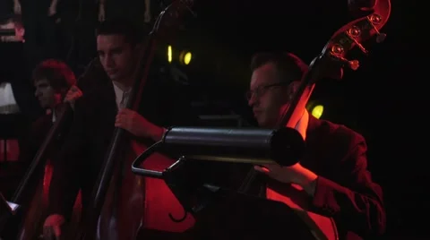 Contrabass Section of an Orchestra Rock Symphony Musicians Are Playing Double Stock Footage 60226783