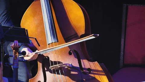 The contrabass stands vertically with its deep brown wooden body, four string Stock Photos