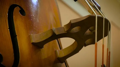 Contrabass strings with bow Stock Footage 71542221