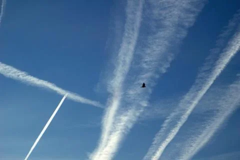 Contrails (3) Stock Photos