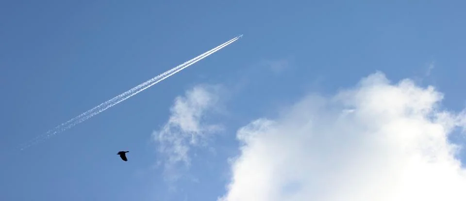 Contrails in the sky Foto stock