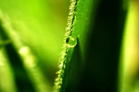 Contrary to gravity Stock Photos