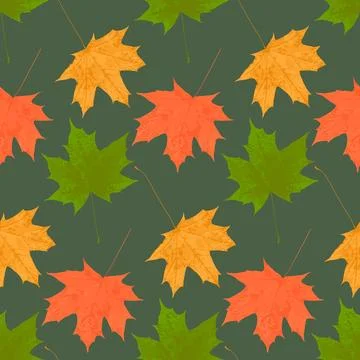 Contrast autumn leaf fall of maple leaves seamless pattern on dark background 스톡 일러스트