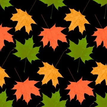 Contrast autumn leaf fall of maple leaves seamless pattern on dark backgrou.. Illustrazione stock