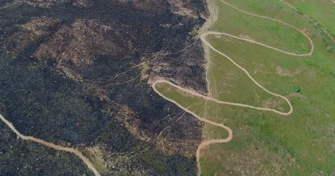 Contrast with burned hill side and green grass seperated by narrow bush road  Stock-Footage 85644080