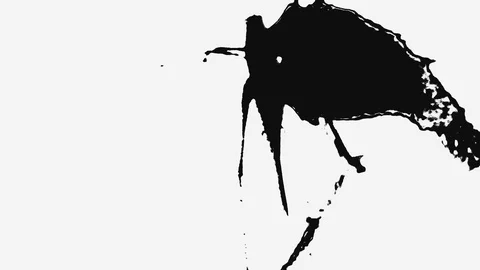 Contrast shapes animation Stock Footage 96148971