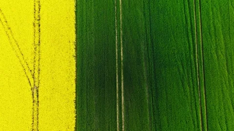 Contrasting Agricultural Fields From Above Symbolizing Food Security, Division Stock Footage 336255064