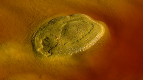 Contrasting colors Video stock 48912080