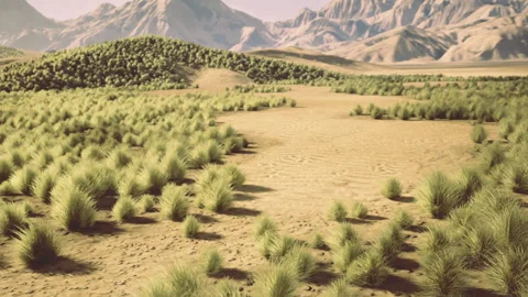 Contrasting sunlight emphasizes shadows and textures on barren soil Video stock 330072062