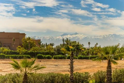 Contrasting view of the sandy desert grounds in the foreground with lush oliv Stock Photos