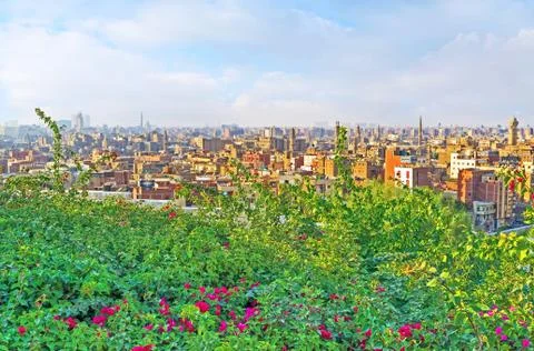 The contrasts of Cairo Stockfoto's