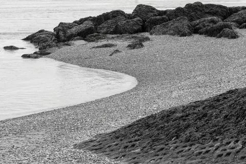 Contrasts of Low Tide Foto stock