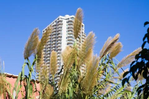 Contrasts Stock Photos