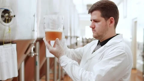 Control of beer products at a brewery Stock Footage 158264708