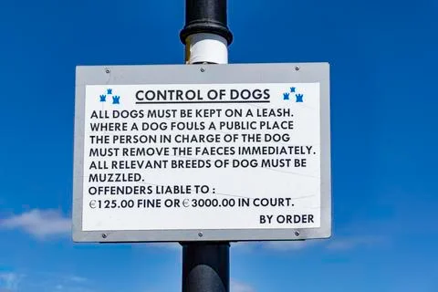 Control of dogs Stock Photos