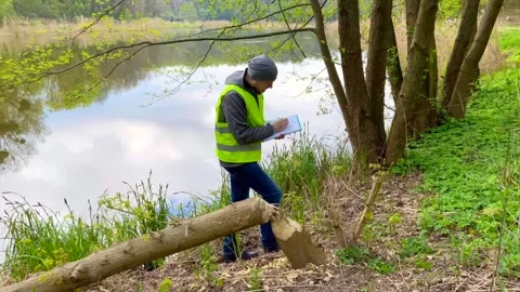 Control of the ecological situation in the habitat of animals and birds. Stock Footage 240108442
