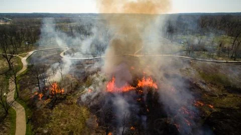 Control Fire 库存照片