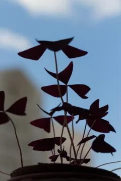 Control Stock Photos