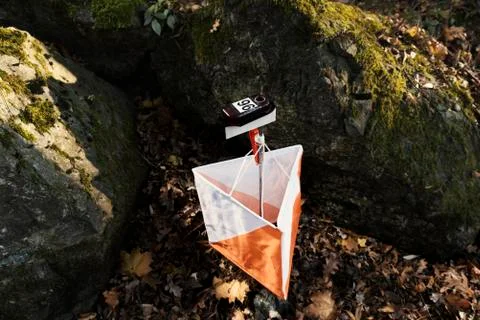 Control Point Forest Orienteering Stock Photos