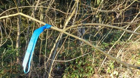 Control point of an orienteering run. Stock Photos